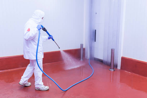 Trusted Little Ferry, NJ Pressure Washing Services Experts